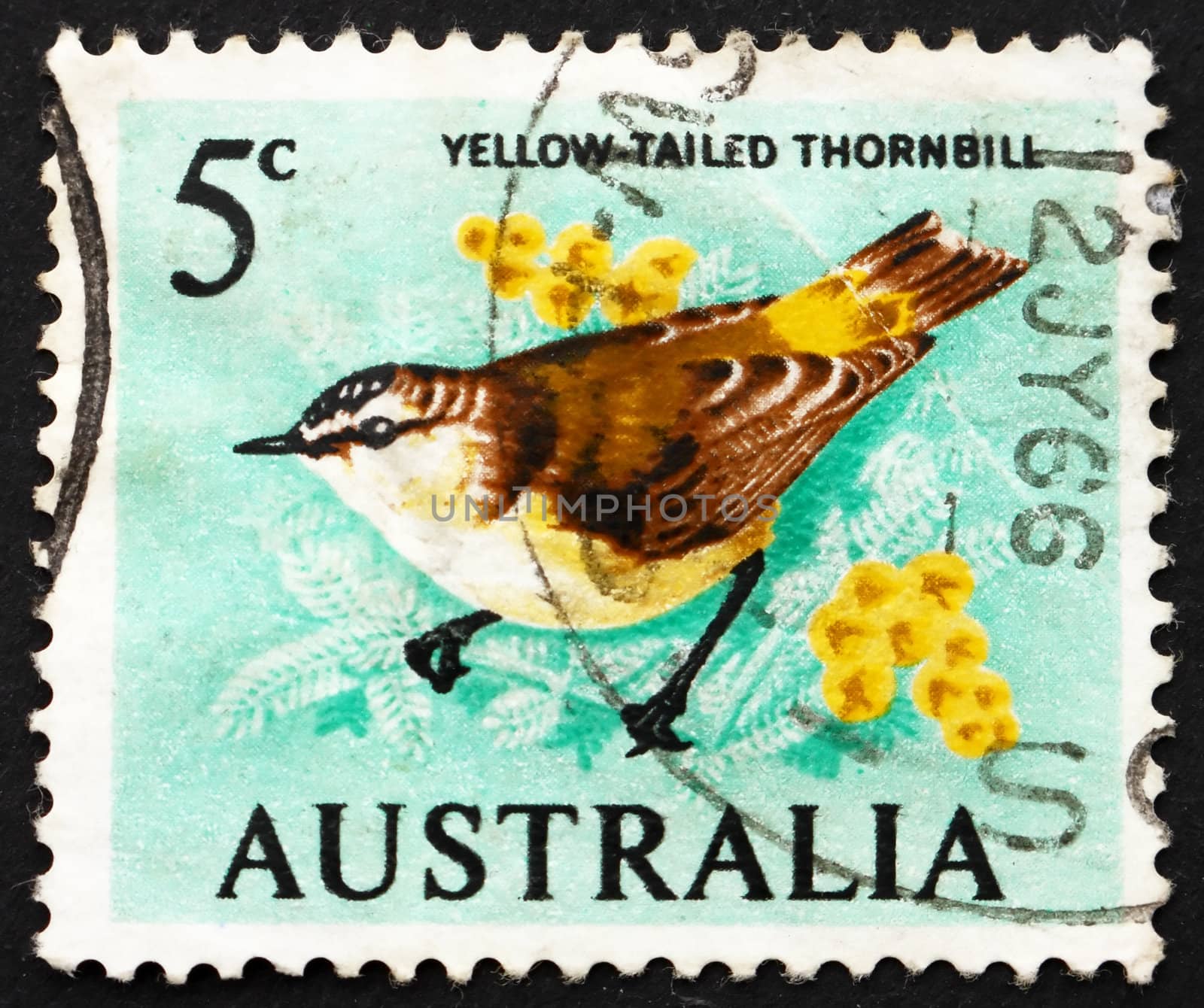 AUSTRALIA - CIRCA 1966: a stamp printed in the Australia shows Yellow-Tailed Thornbill, Acanthiza Chrysorrhoa, Bird, circa 1966