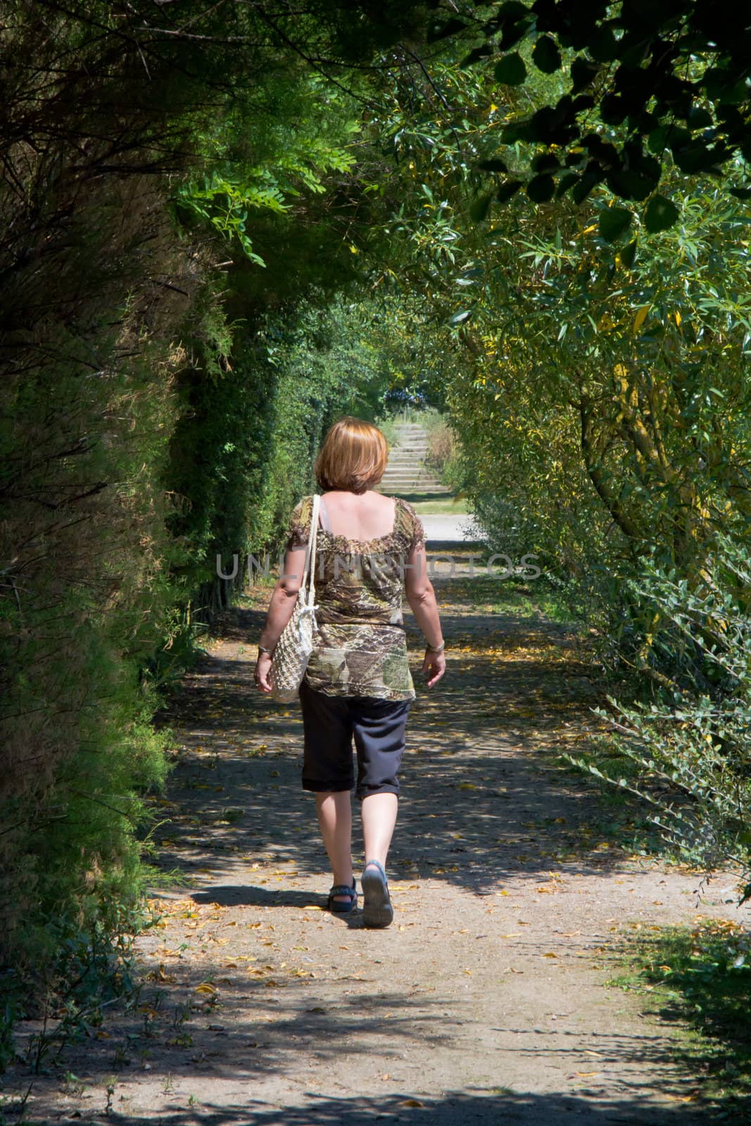 A Woman walking Through a Tree Tunnel