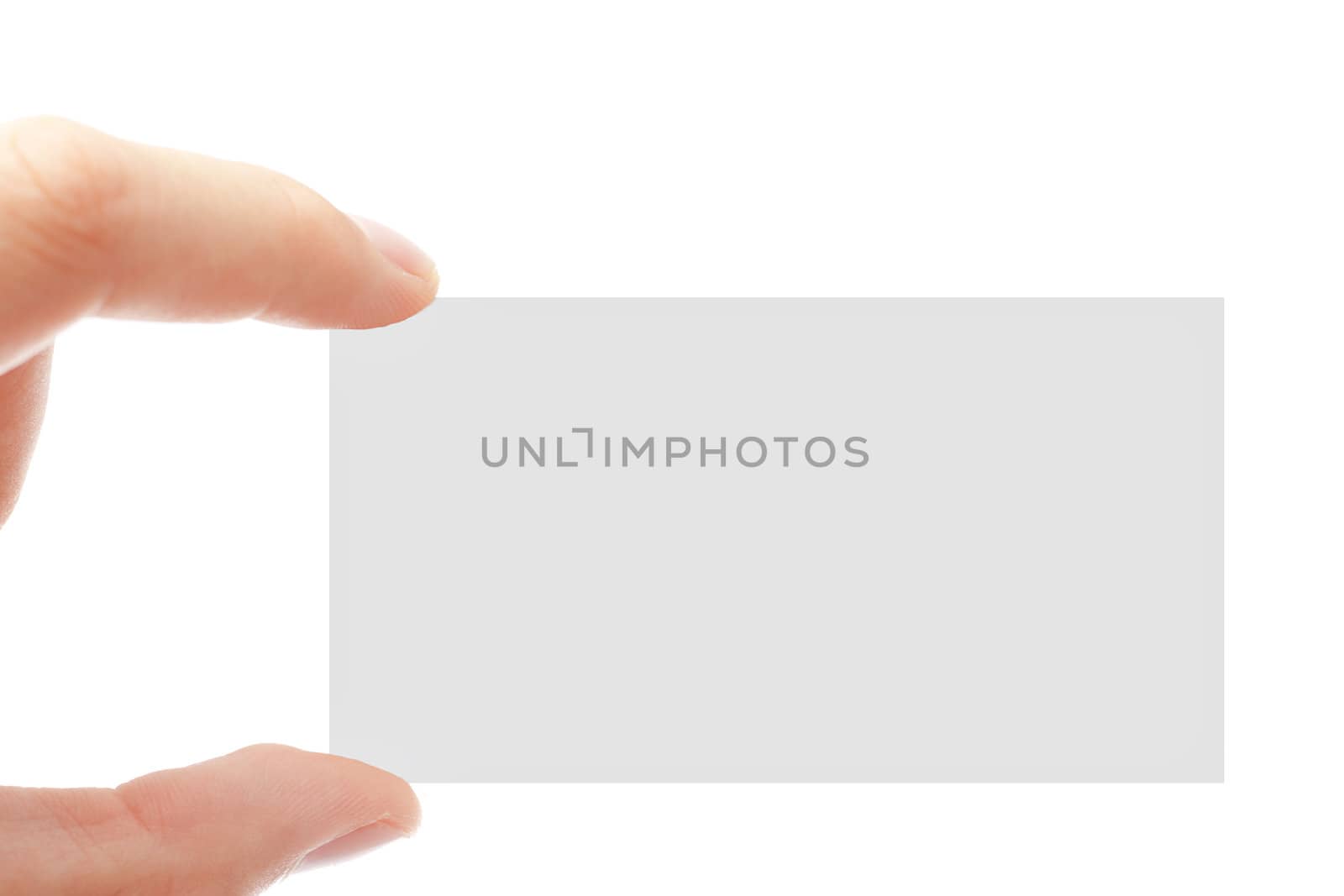business card in the hand is isolated on a white background.