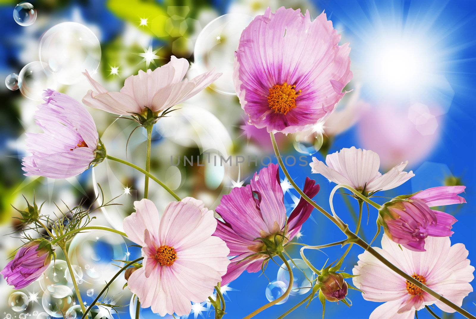 Flowers spring garden by sergey150770SV