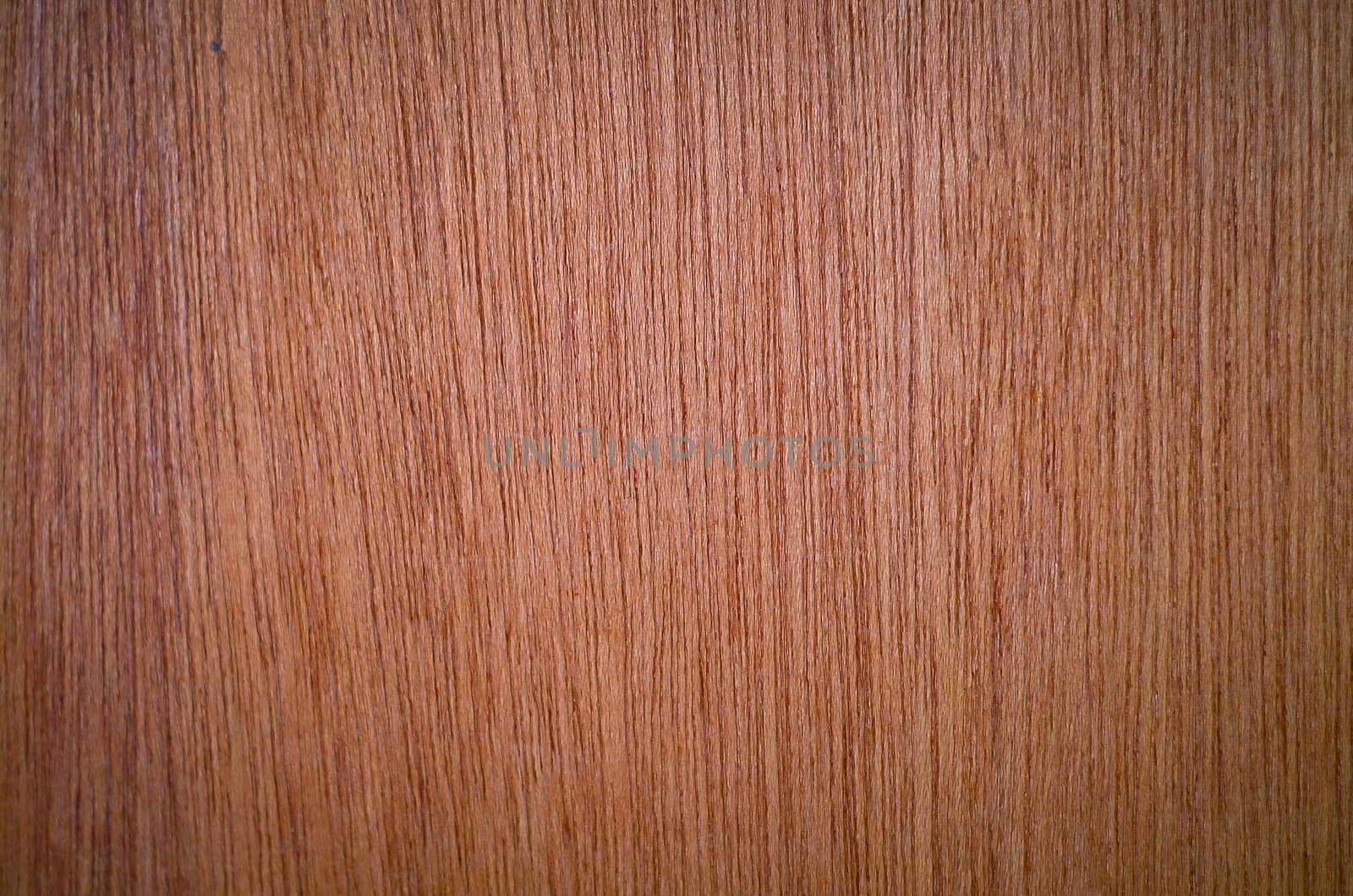 wood texture with natural patterns