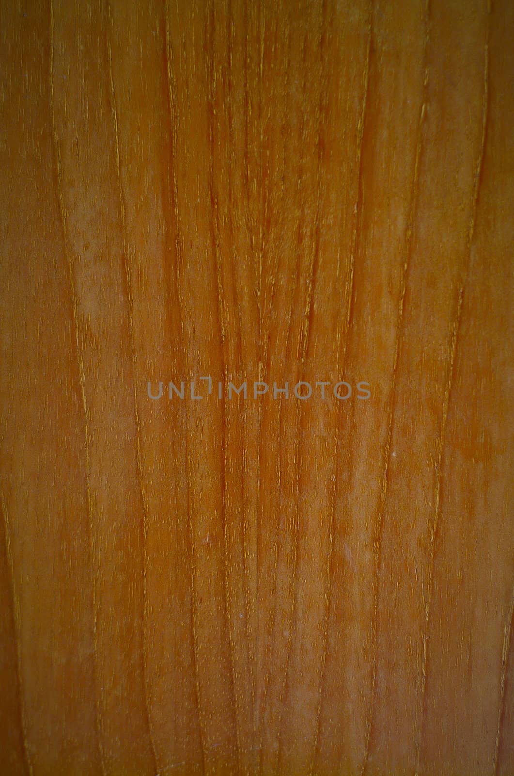 wood texture with natural patterns