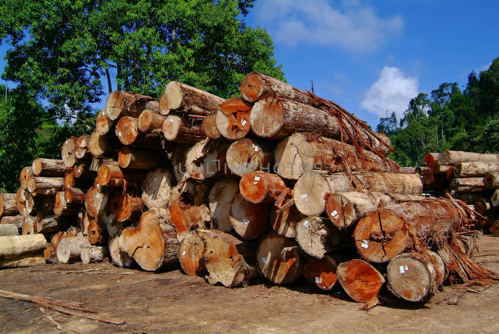 lumber. Wood stacked by heinteh