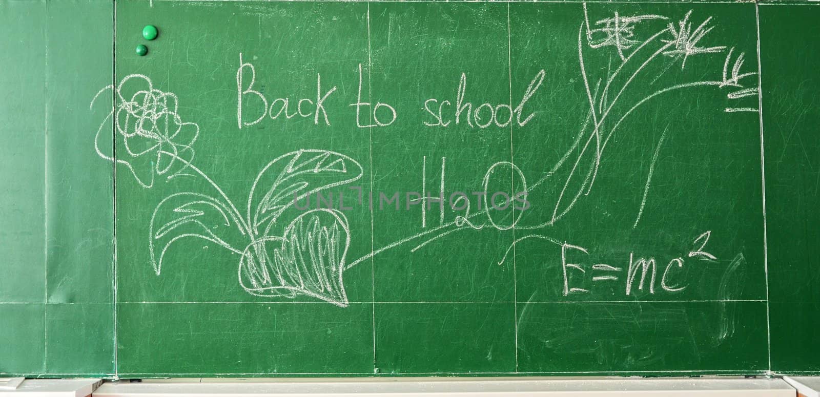 Green chalk blackboard written Back To School with white chalk