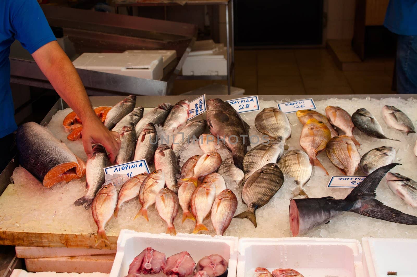 Fresh fish arrangement displayed on the fish market on Crete Island, Greece
