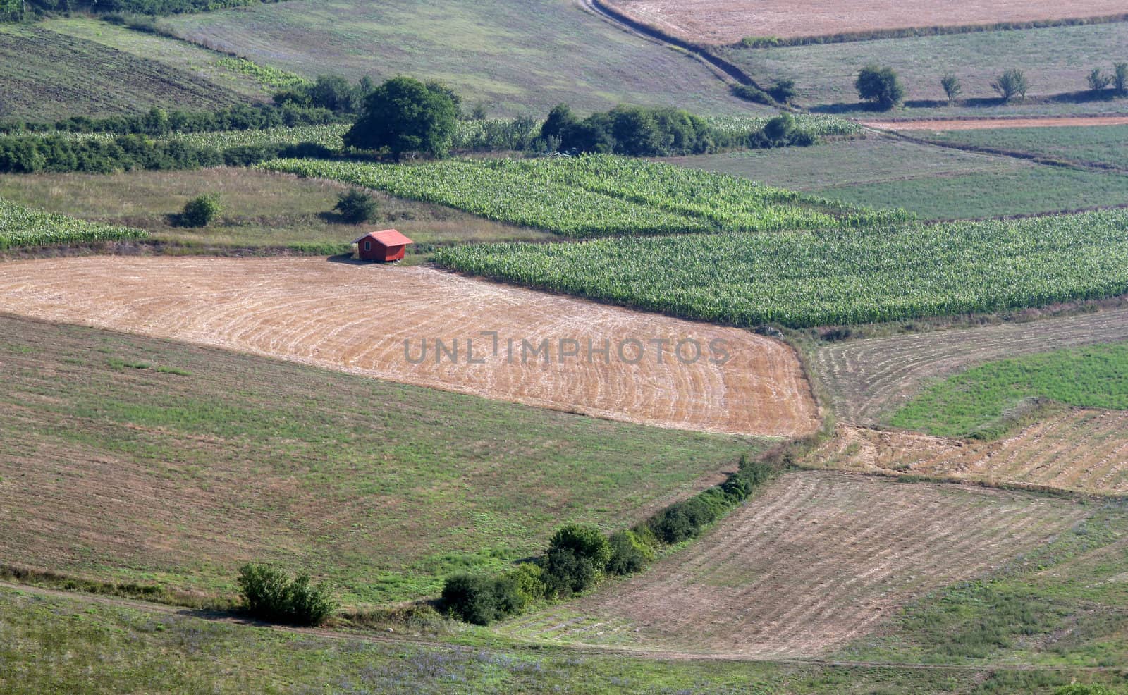 rural landscape