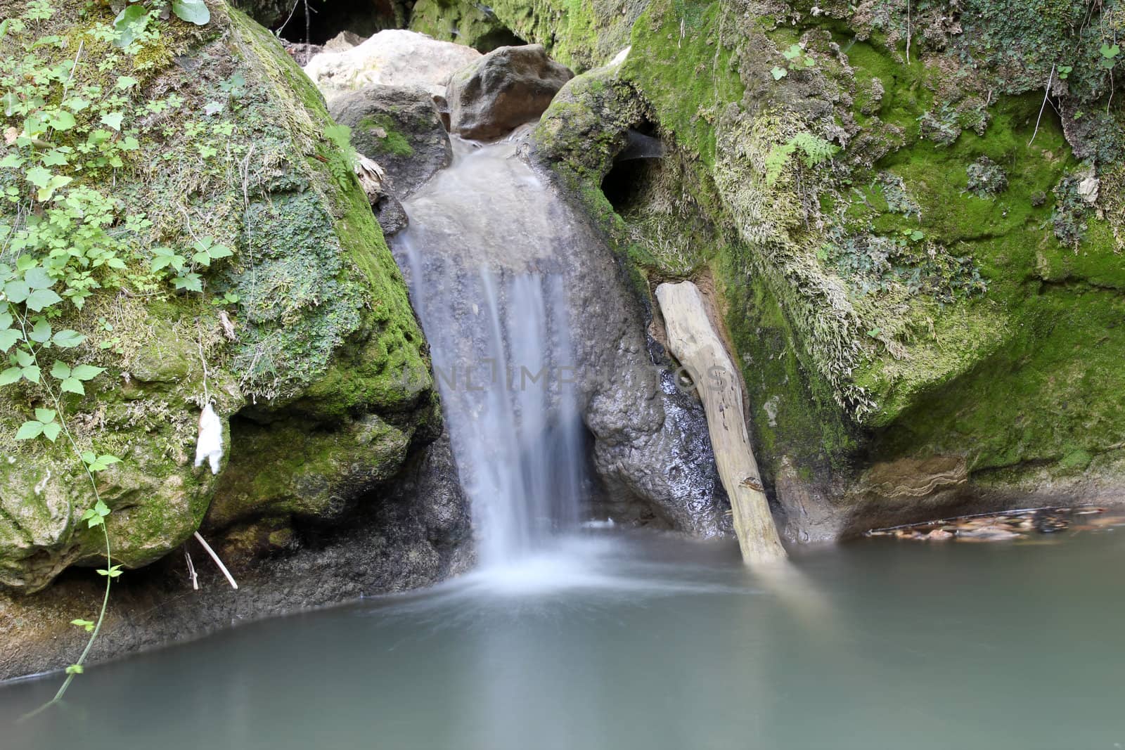 mountain stream