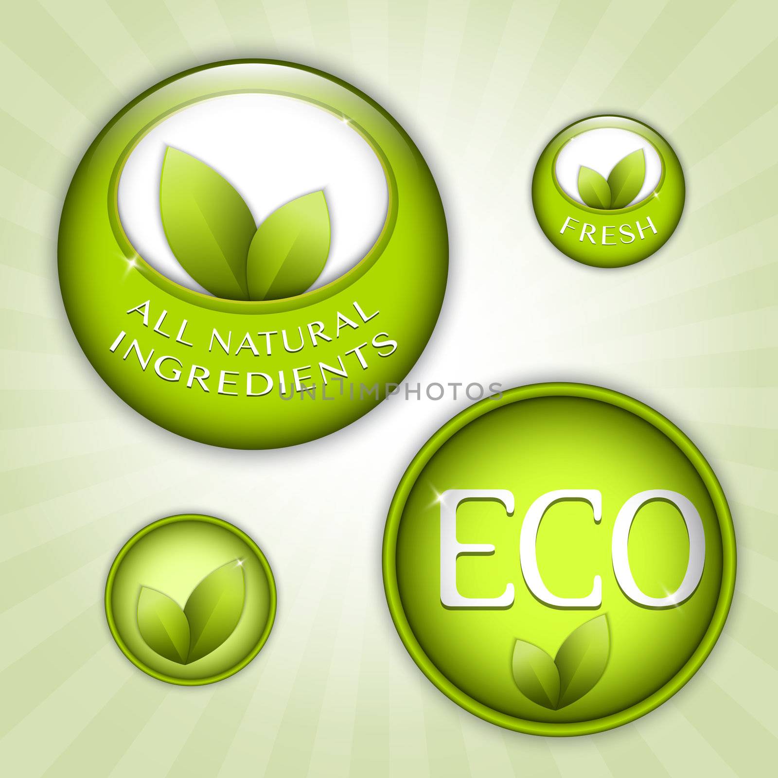 Set of green round signs. Eco, green and natural ingredients