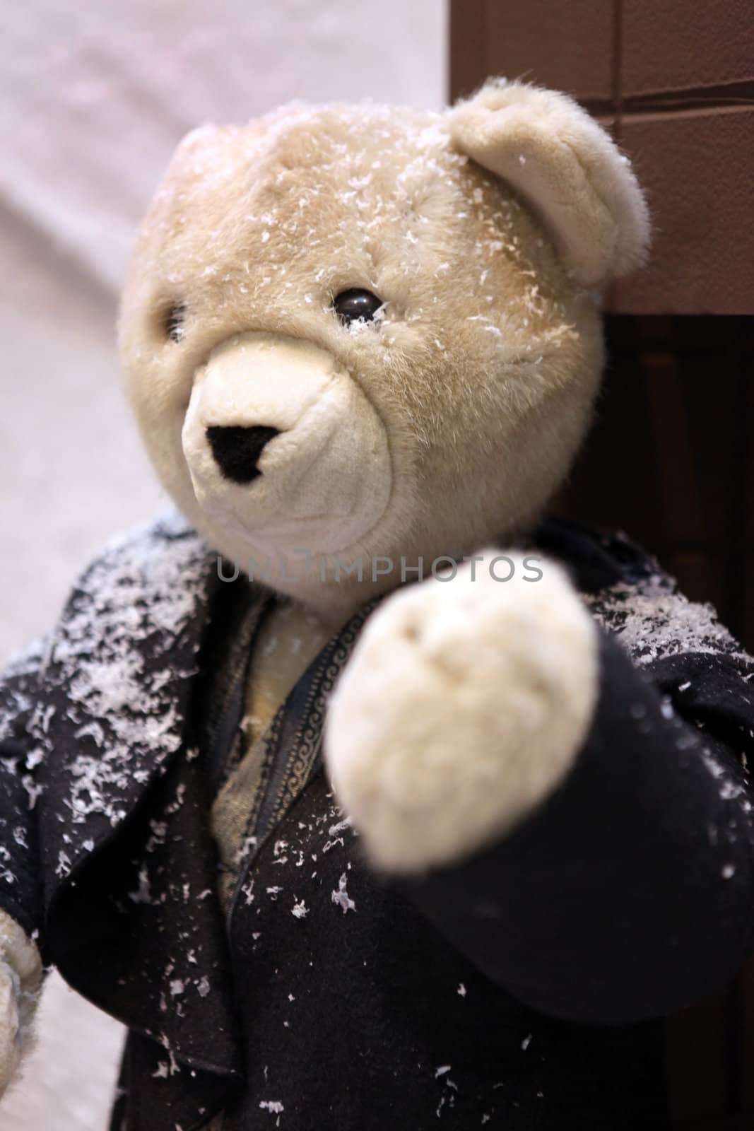 Teddy bear wearing jacket in the snow