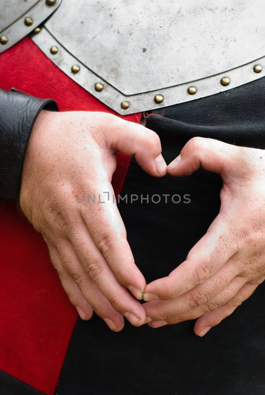 knight's heart by sarkao