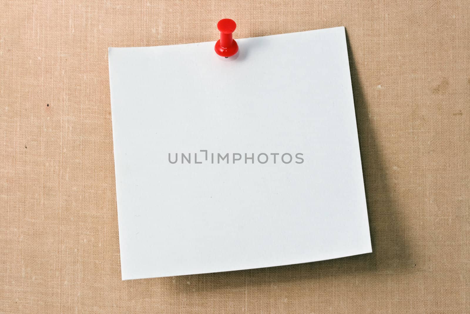 Note white paper tacked on a wall