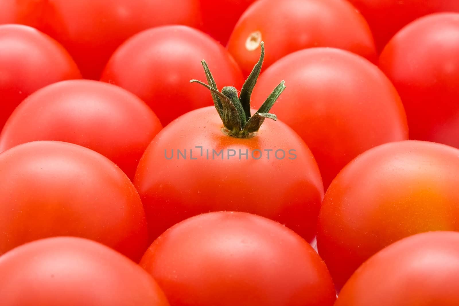 Red tomatoes background