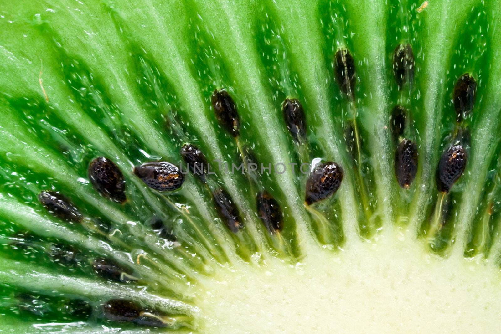 Macro photo of a fresh kiwi