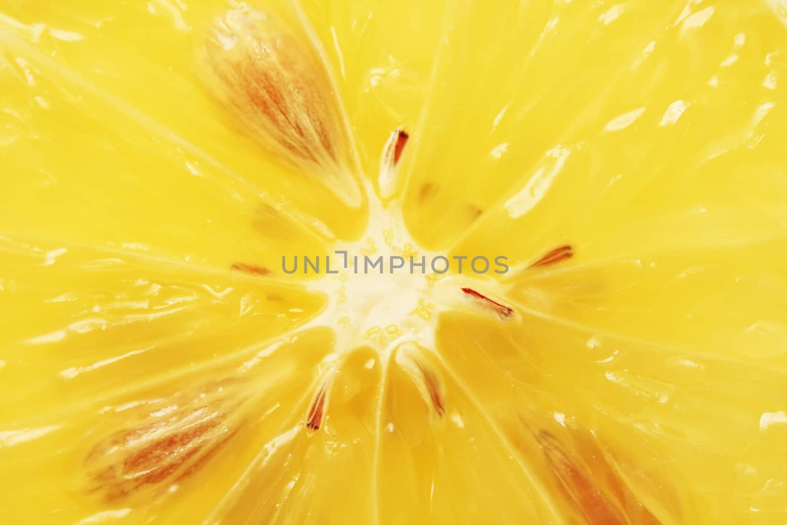 Slice of lemon, close up