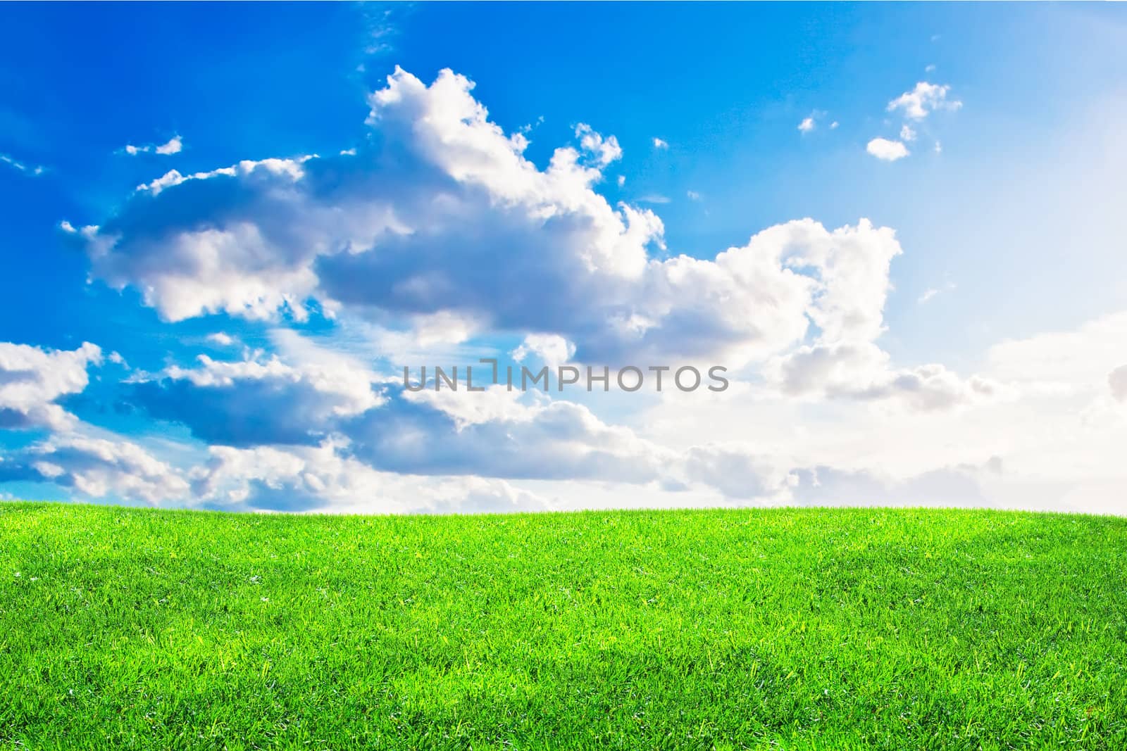 Green grass and blue cloudy sky in summer