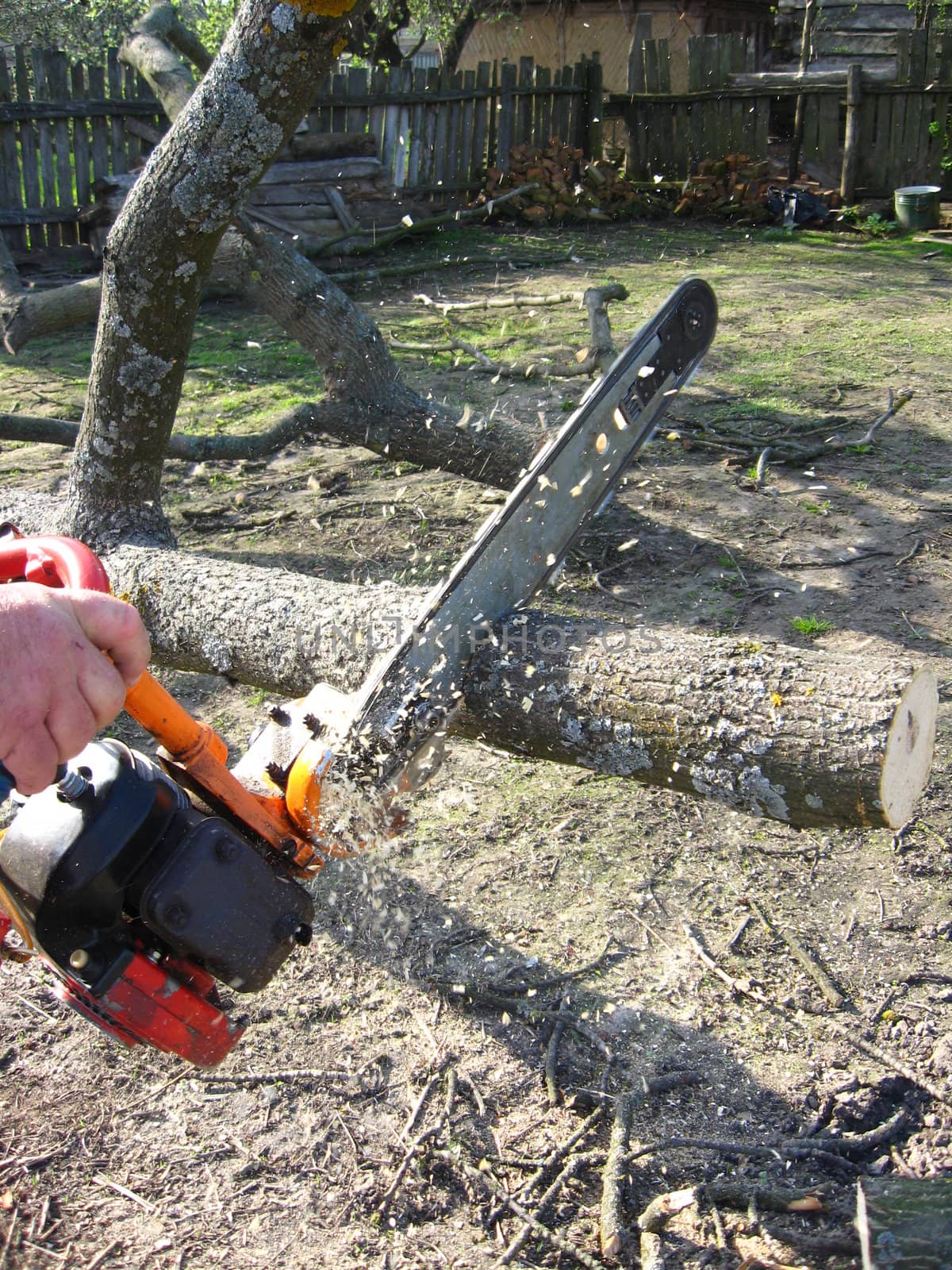 The man sawing the firewoods by petrol saw