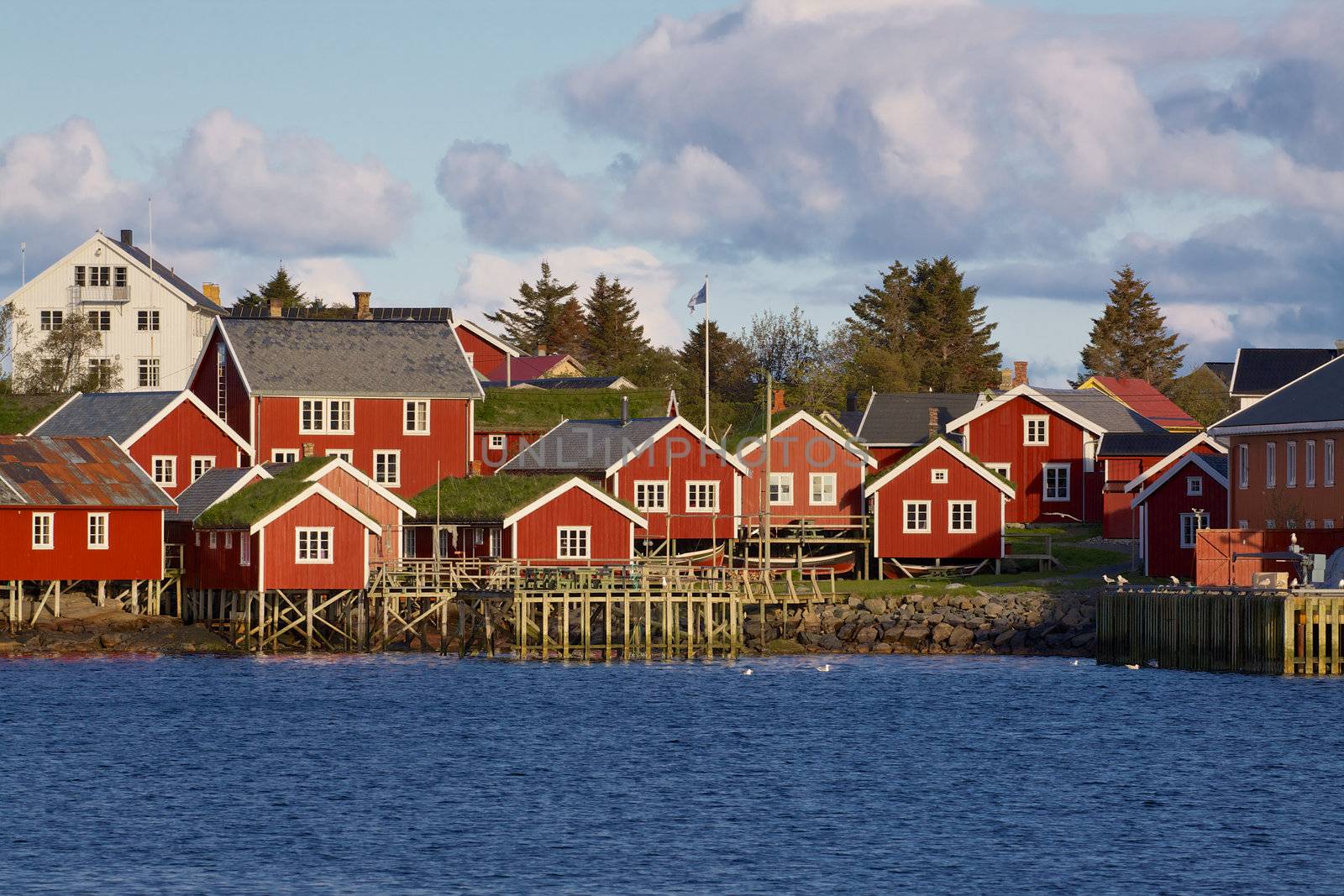 Typical red rorbu huts with sod roof in town of Reine on Lofoten islands in Norway