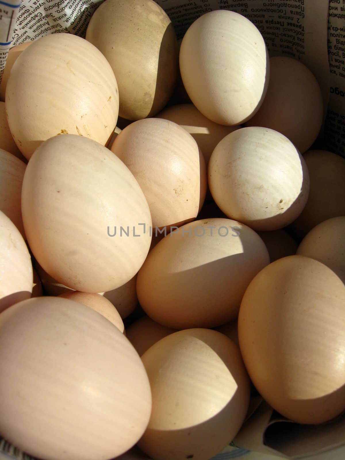 The image of many tasty eggs of the hen