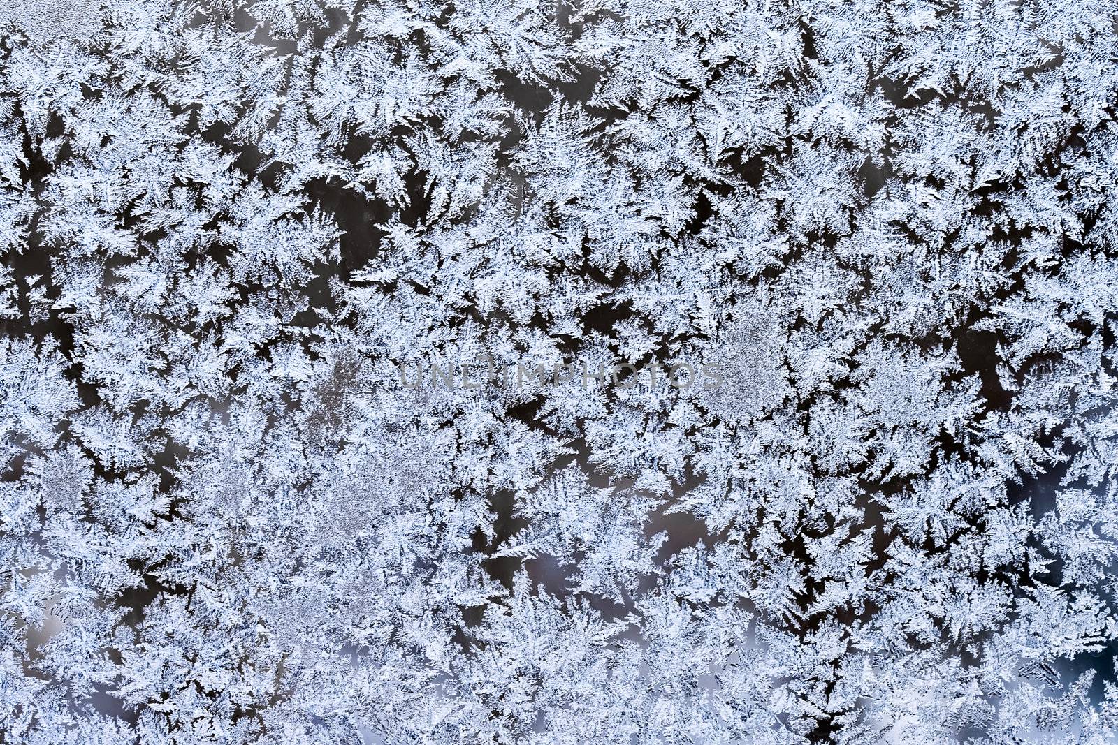 Frost pattern on a winter window