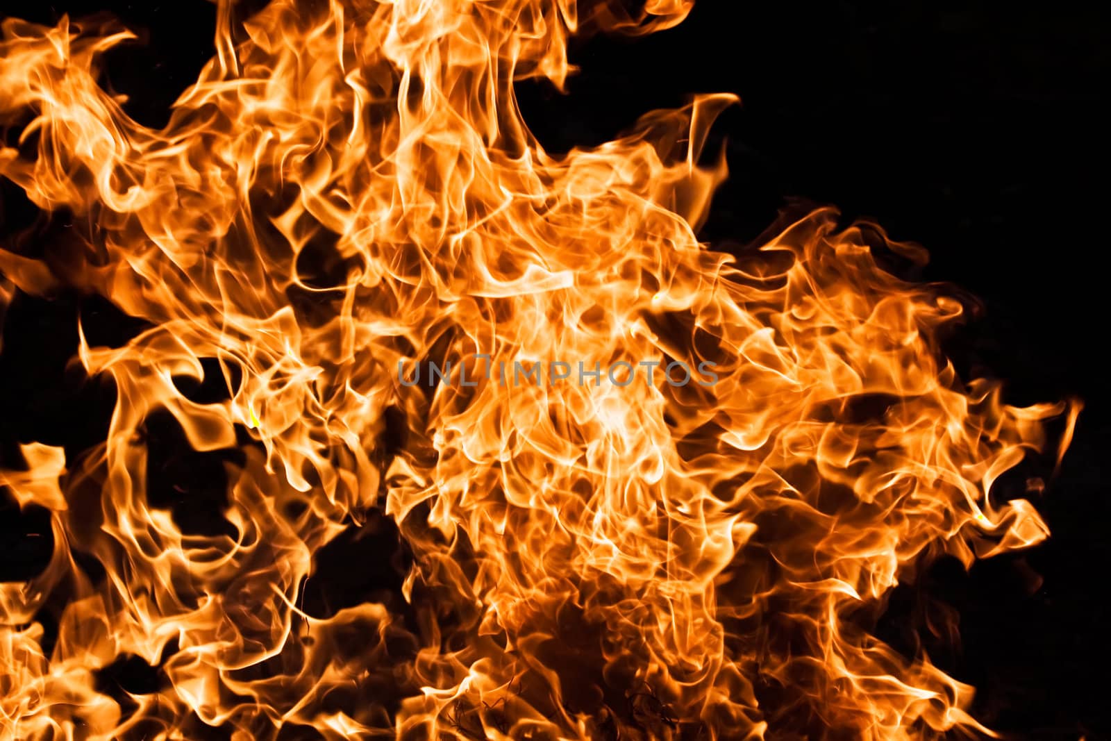 Orange flame burning on black background