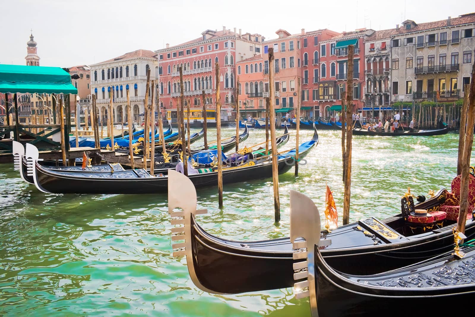Nice gondolas anchored on Grand Canal of Venice, Italy