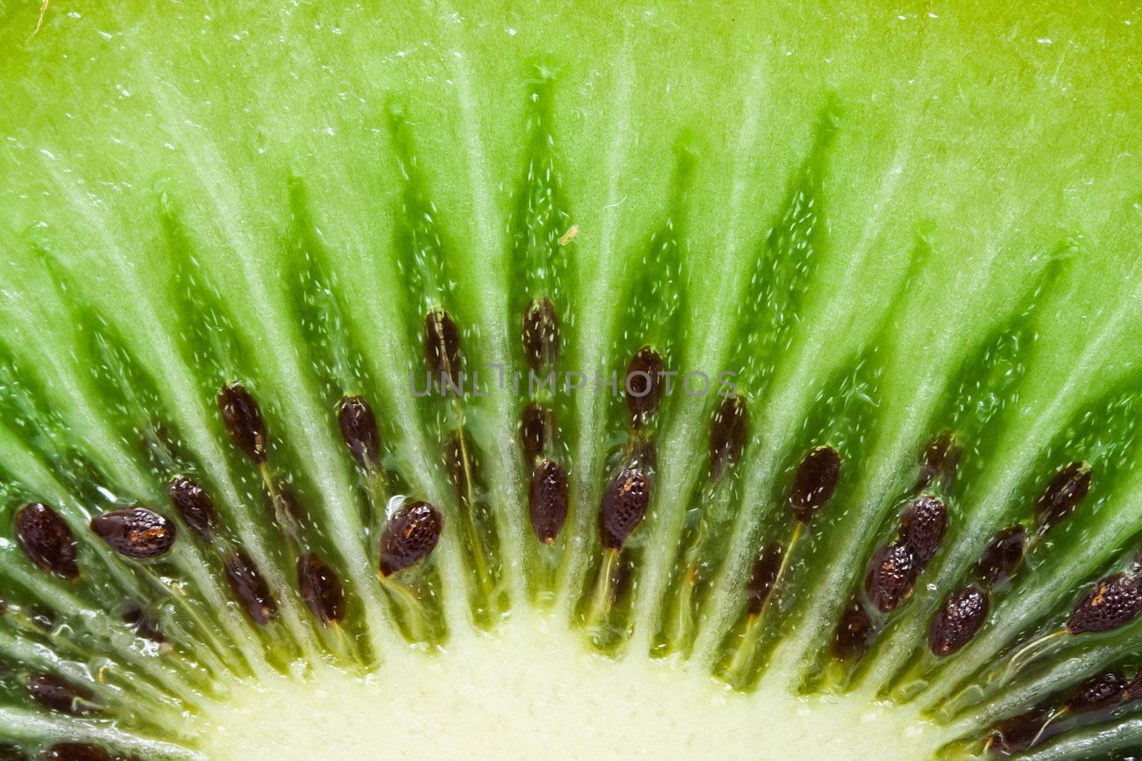 Macro photo of a fresh kiwi