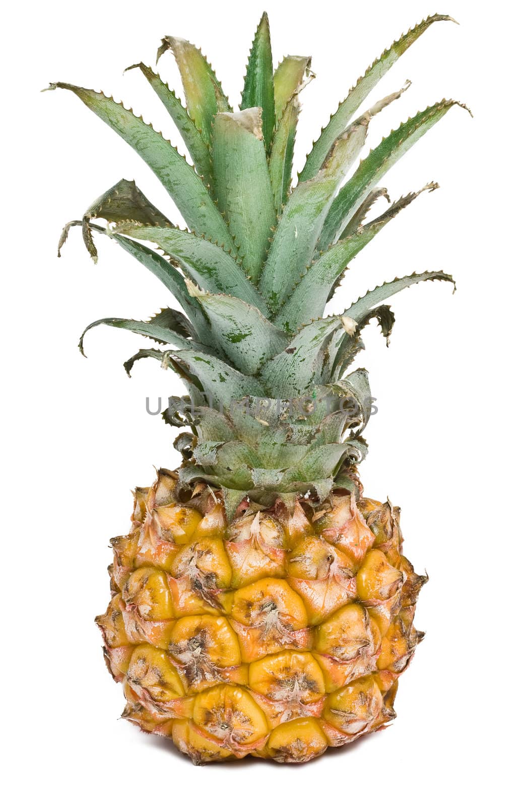 Nice pineapple isolated on white