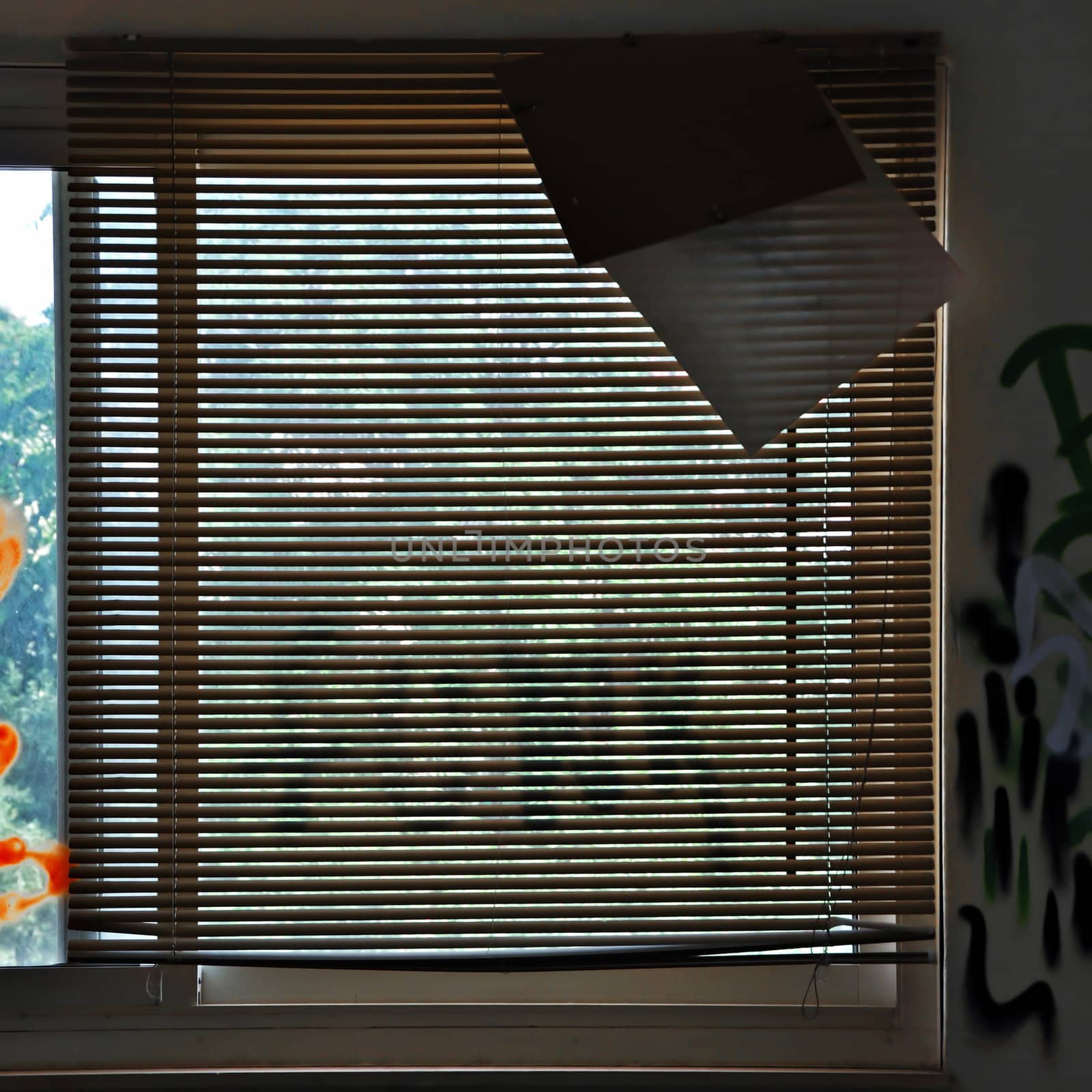 Window blinds and graffiti on the wall of an abandoned house.