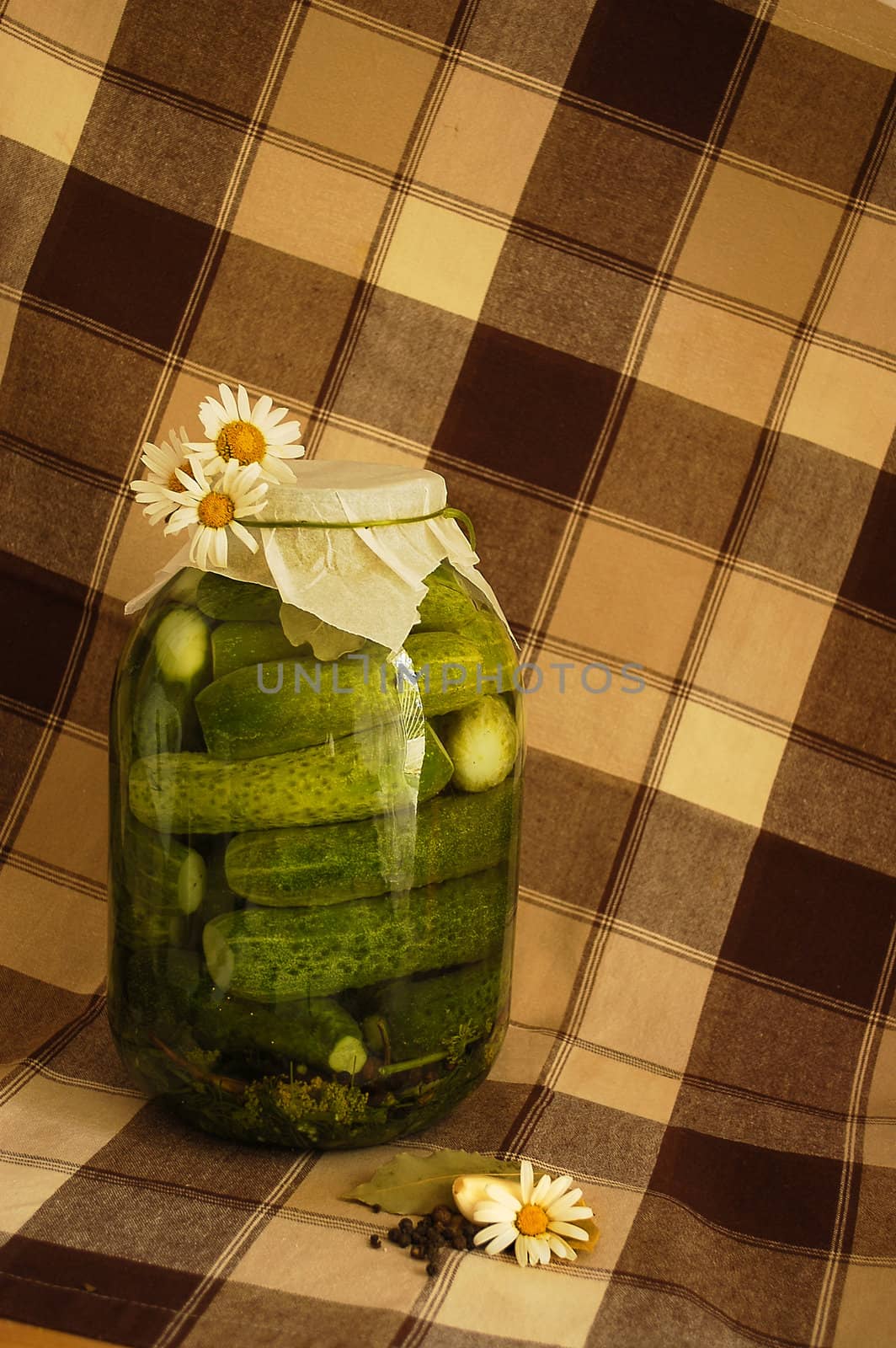 Pickles decorated with daisies on the plaid coloring tablecloth