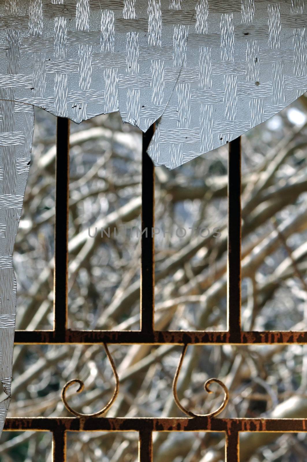 Rusty metal door frame and branches abstract background. Focus on broken glass.