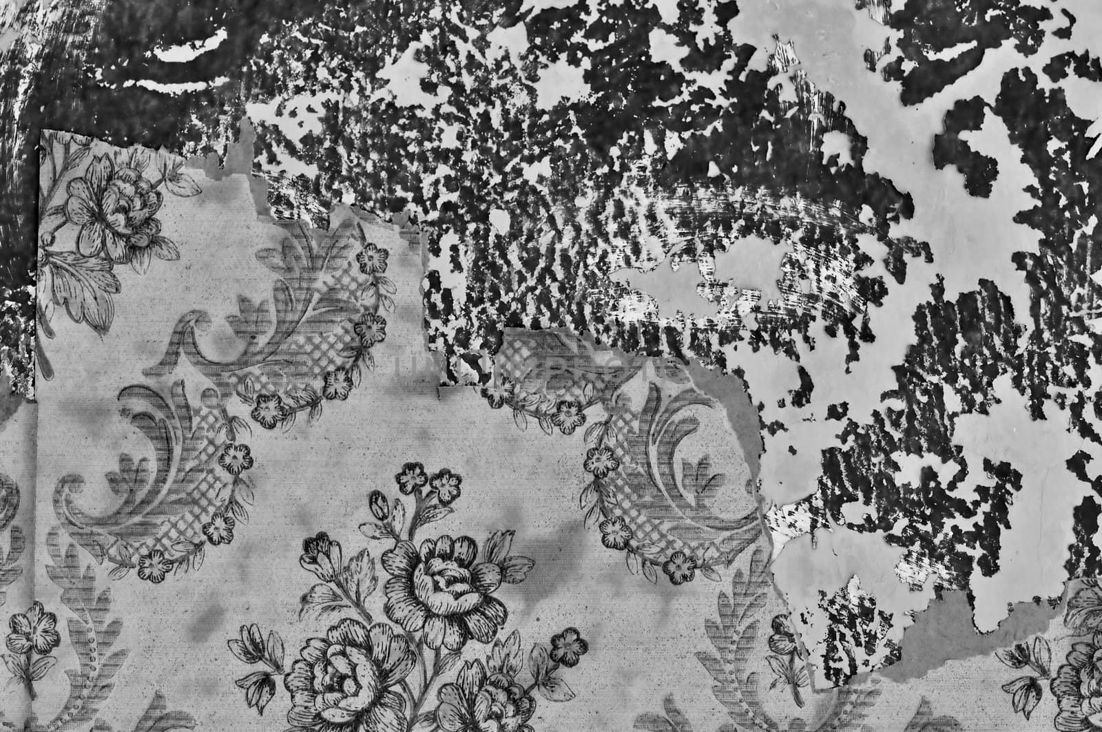 Torn vintage wallpaper on grungy peeling paint wall. Black and white.