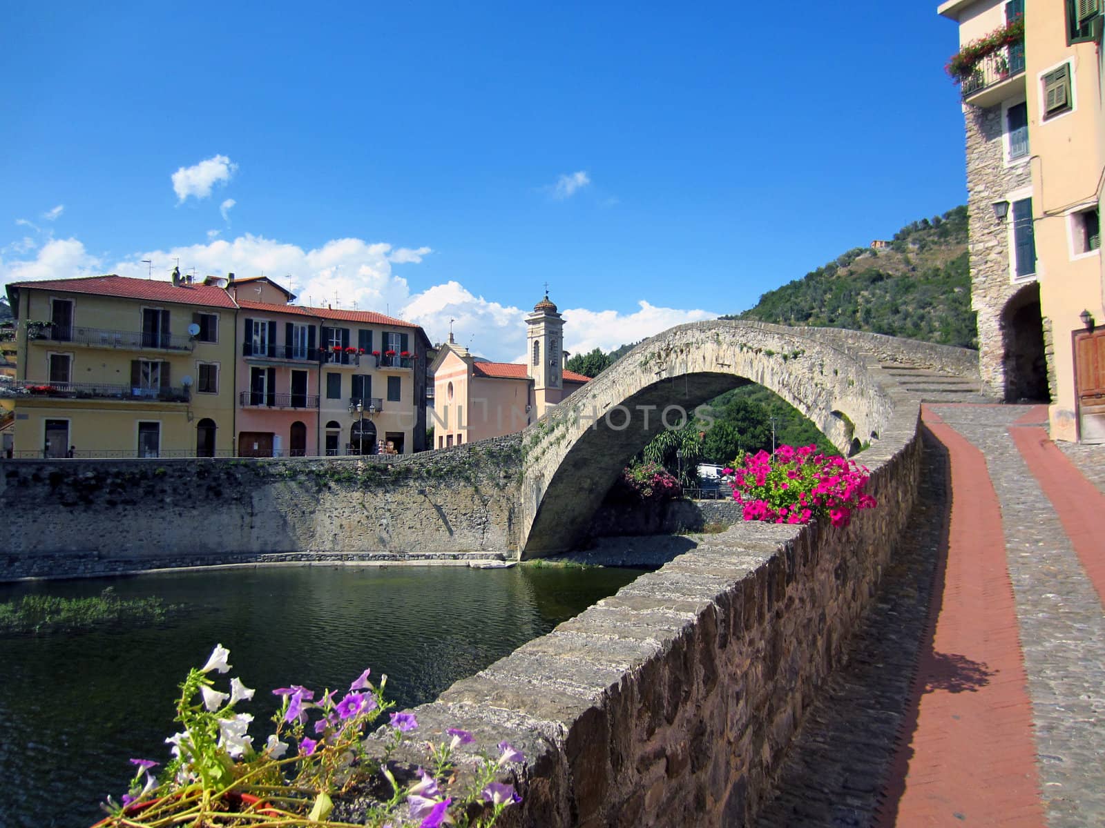 Village with castle and roman stone bridge