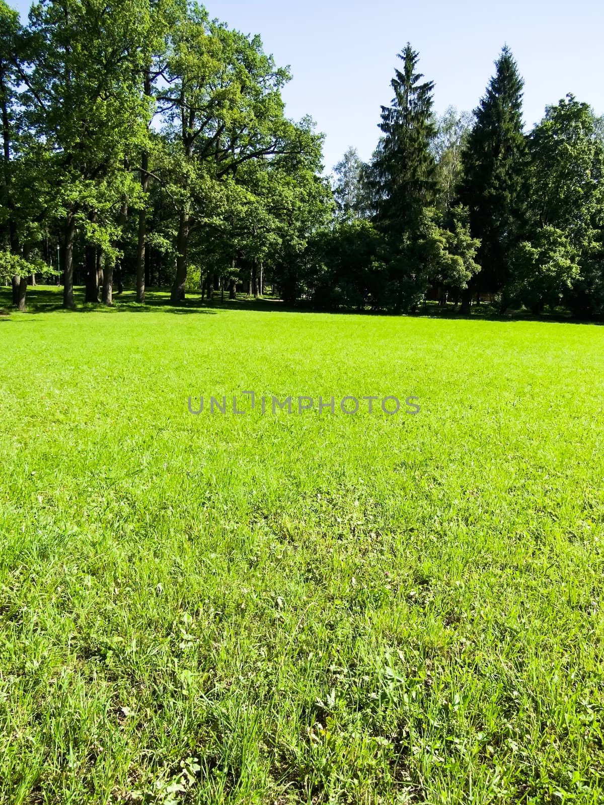 landscape bathed in sunlight lawn and blue sky by rodakm