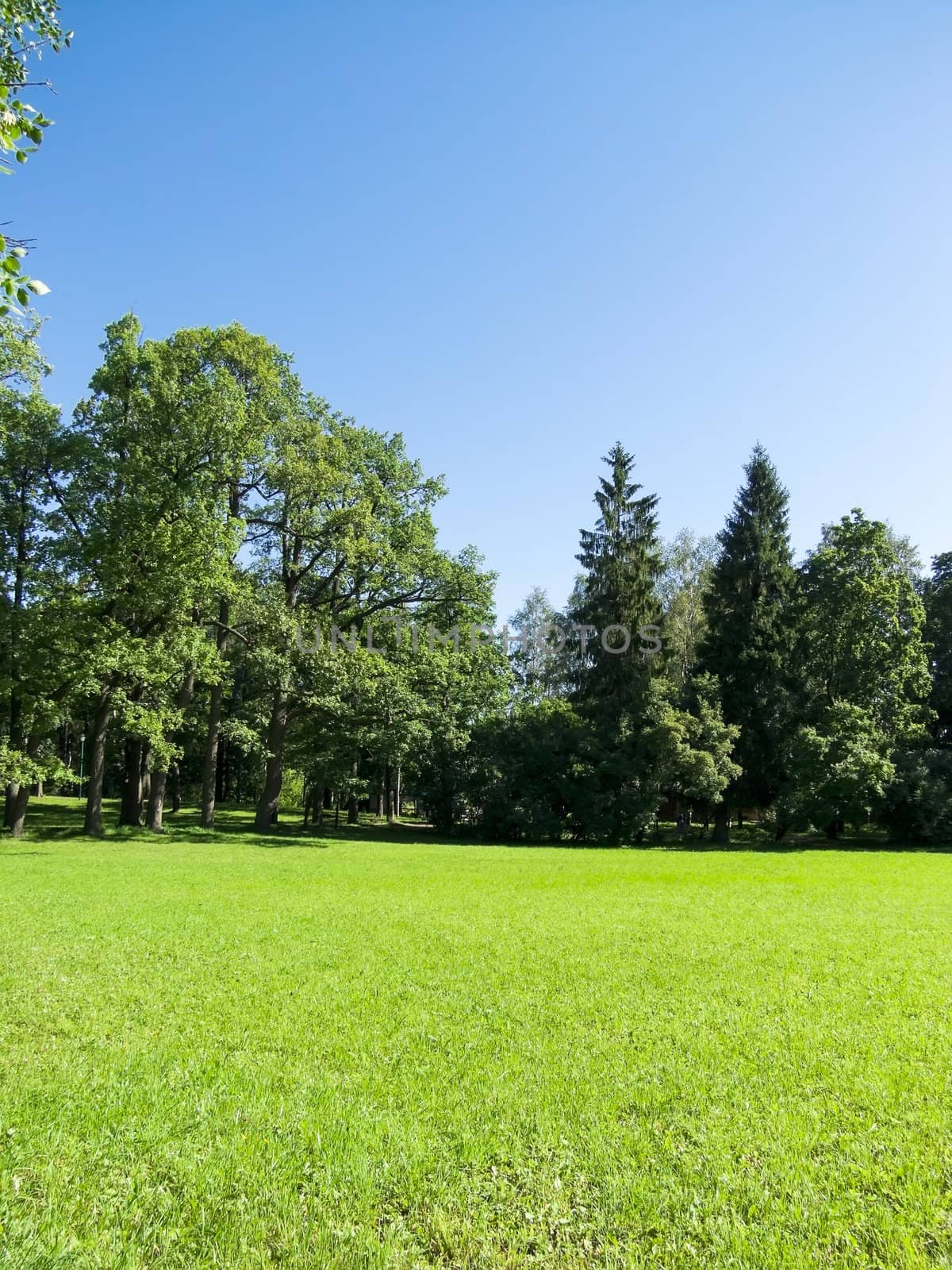 landscape bathed in sunlight lawn and blue sky by rodakm