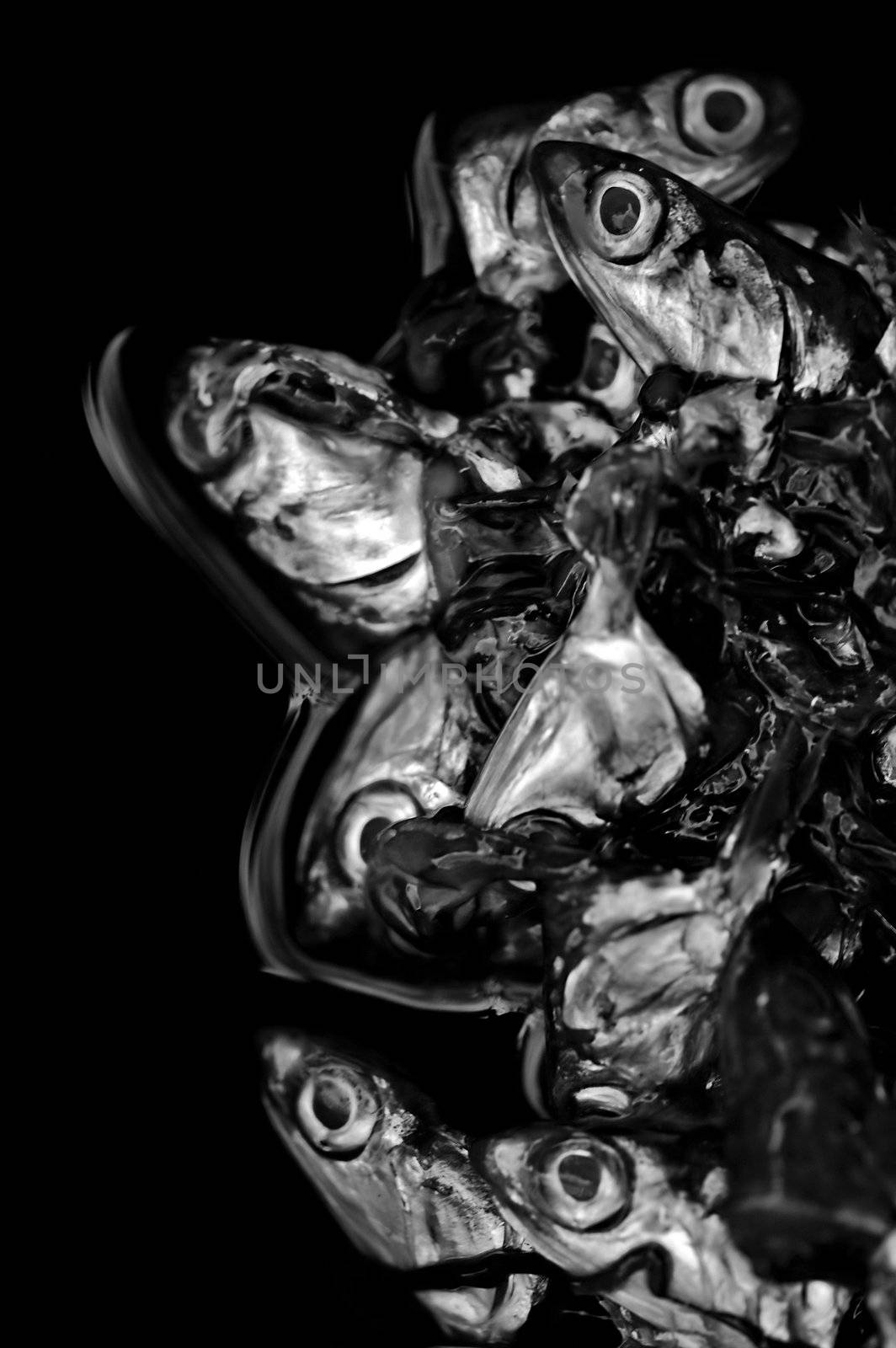 Pile of cut off fish heads. Black and white.