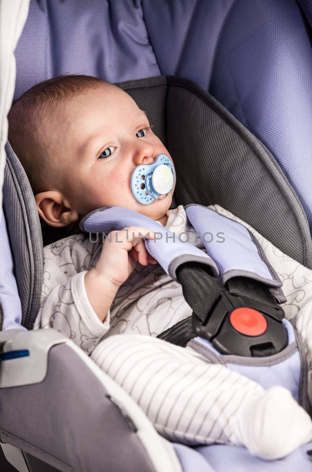 Cute little boy in car seat by photobac