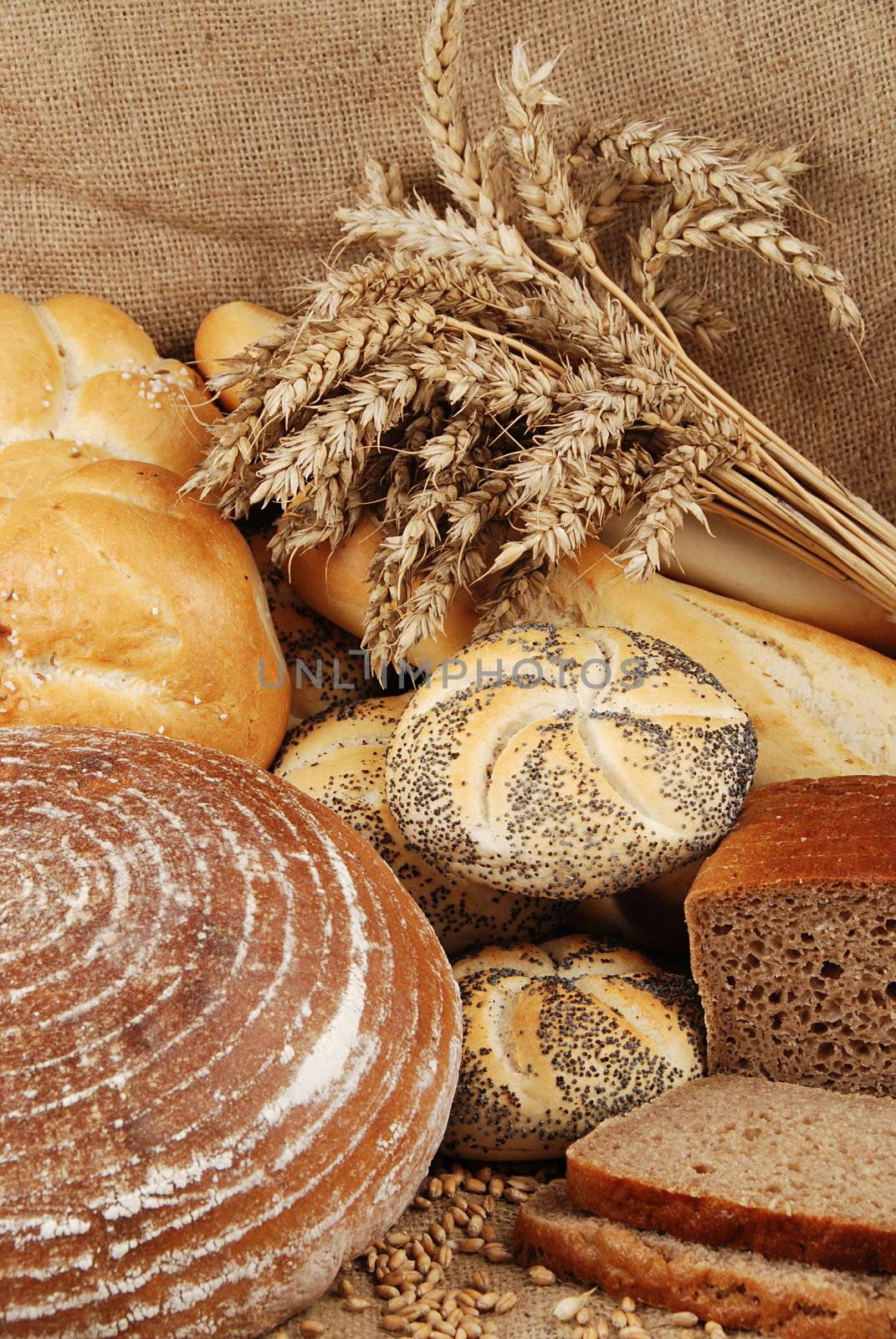 Various fresh baked goods with wheat grain and bundle