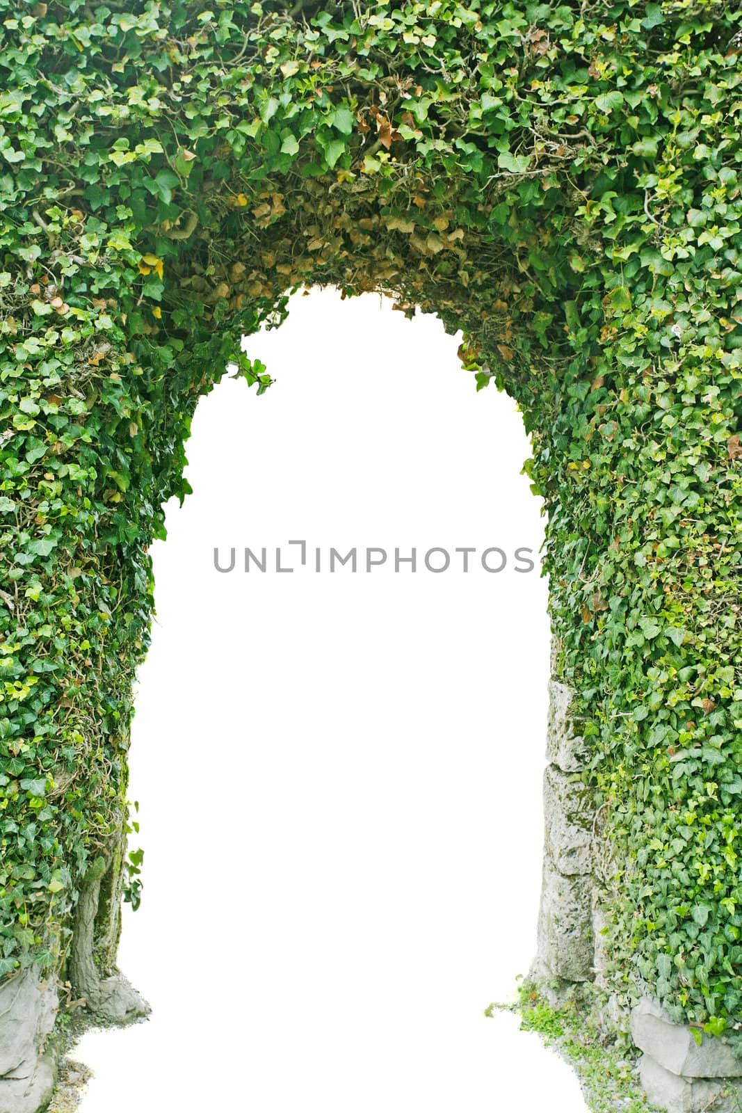 Entrance made of green grass isolated.