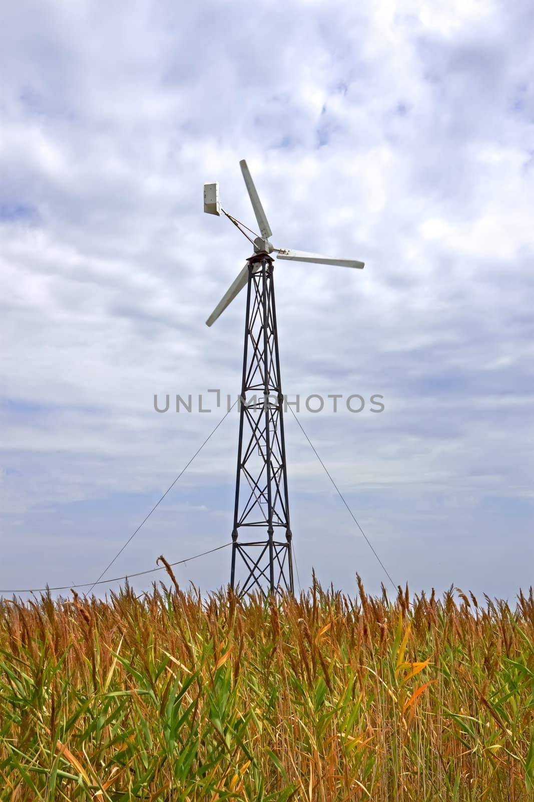 Turbines among high reed  by qiiip