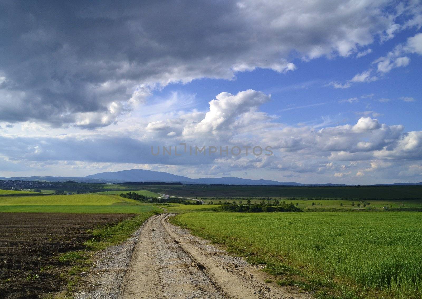 country road in the distance