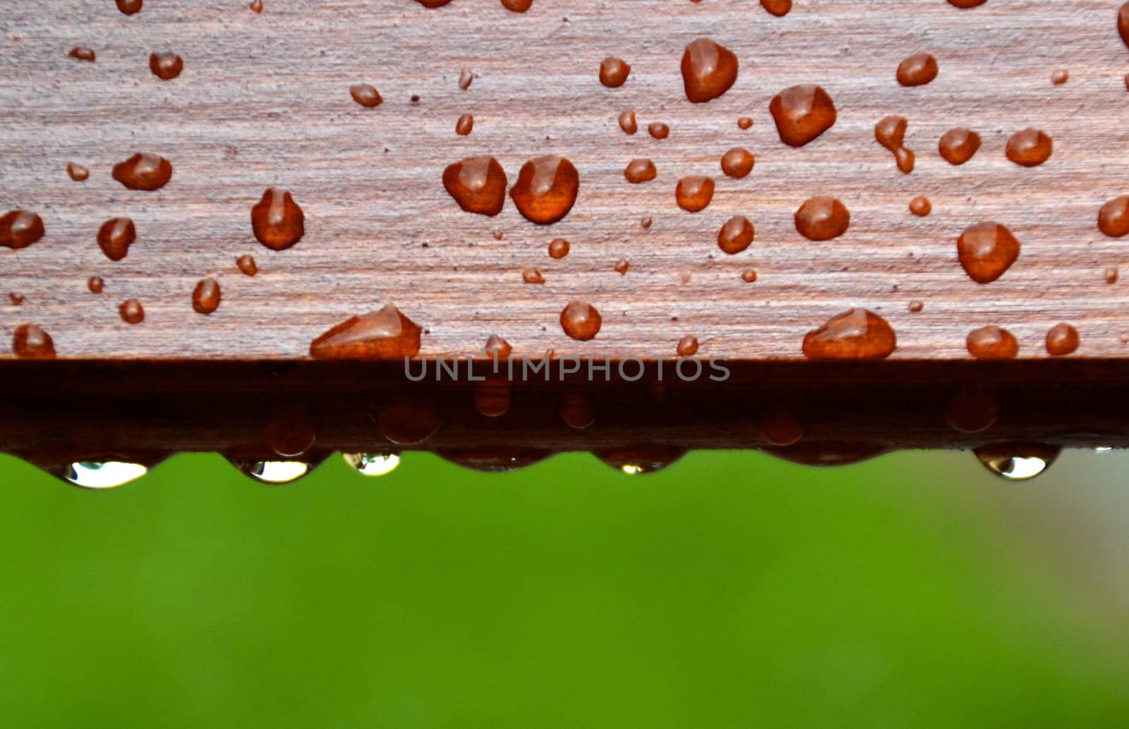 drops of water on wood