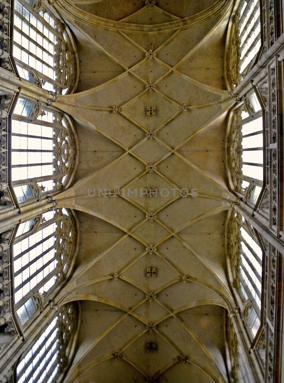 monumental Gothic vault by Ahojdoma