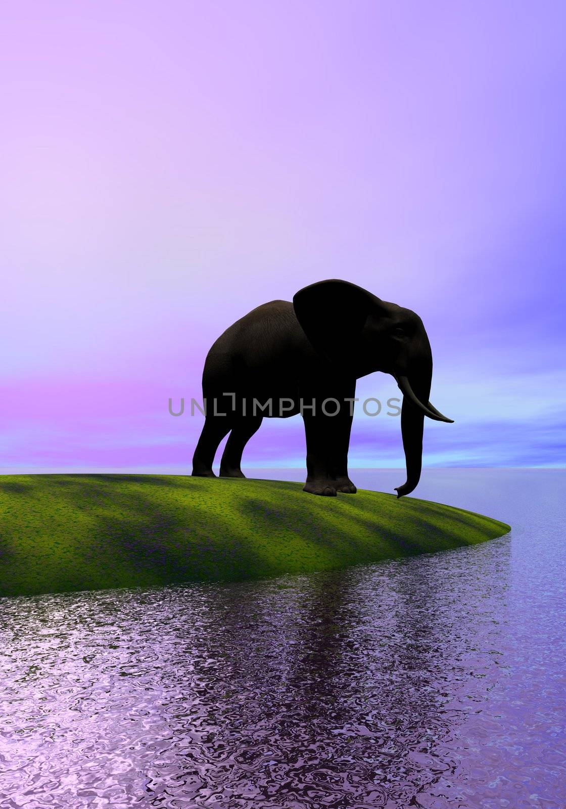 elephant and hill and sea