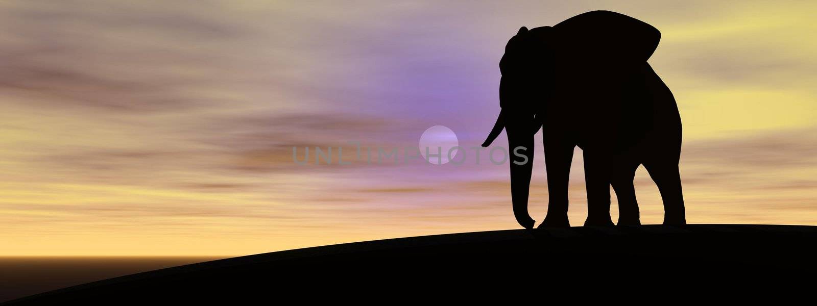 elephant and sun