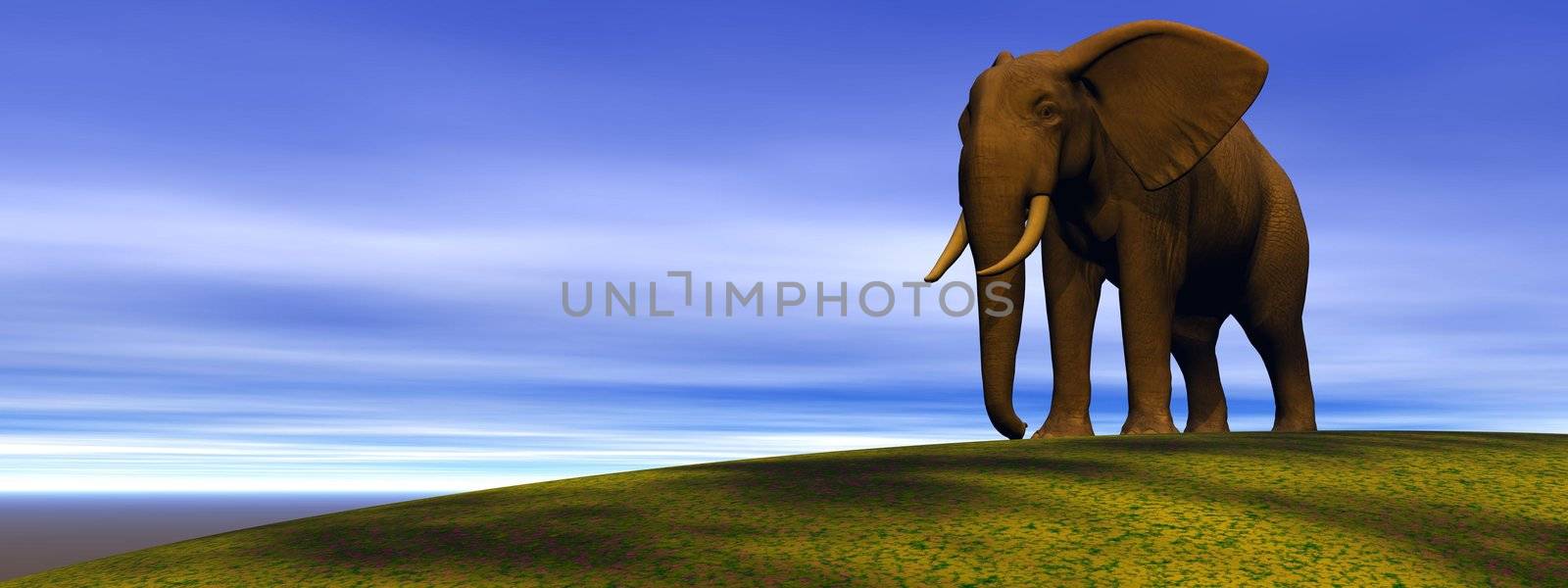 elephant and hill green