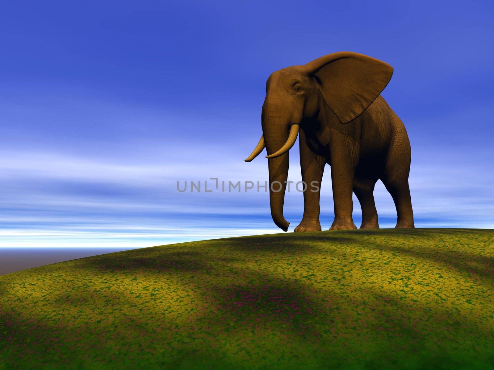 elephant and hill and sky blue