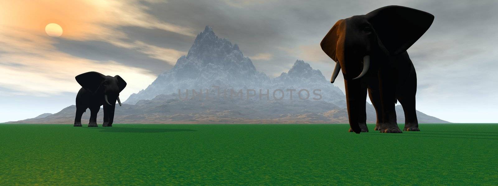 elephants and mountain