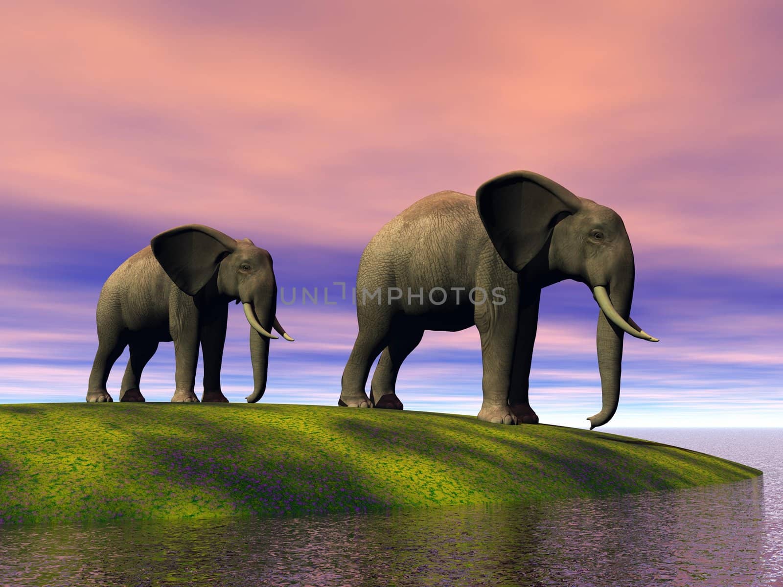 elephants and hill