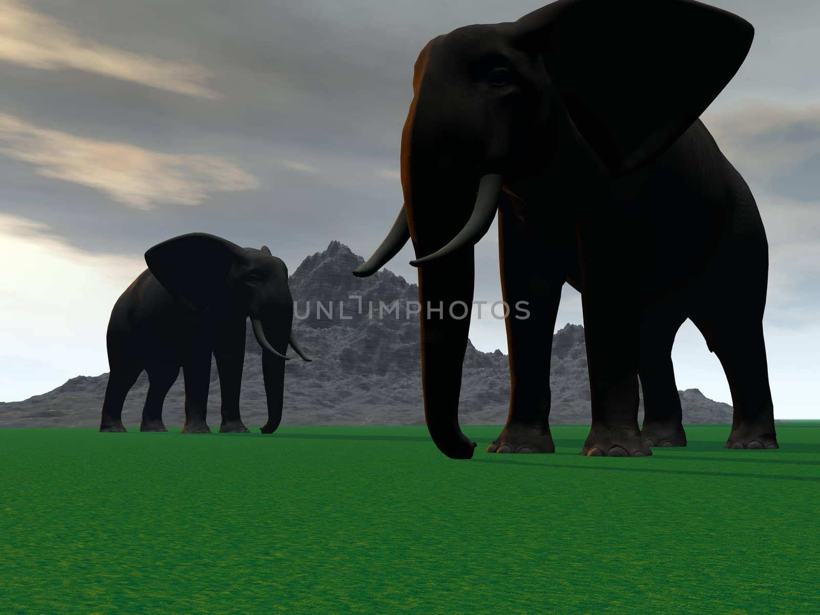 elephants and mountain
