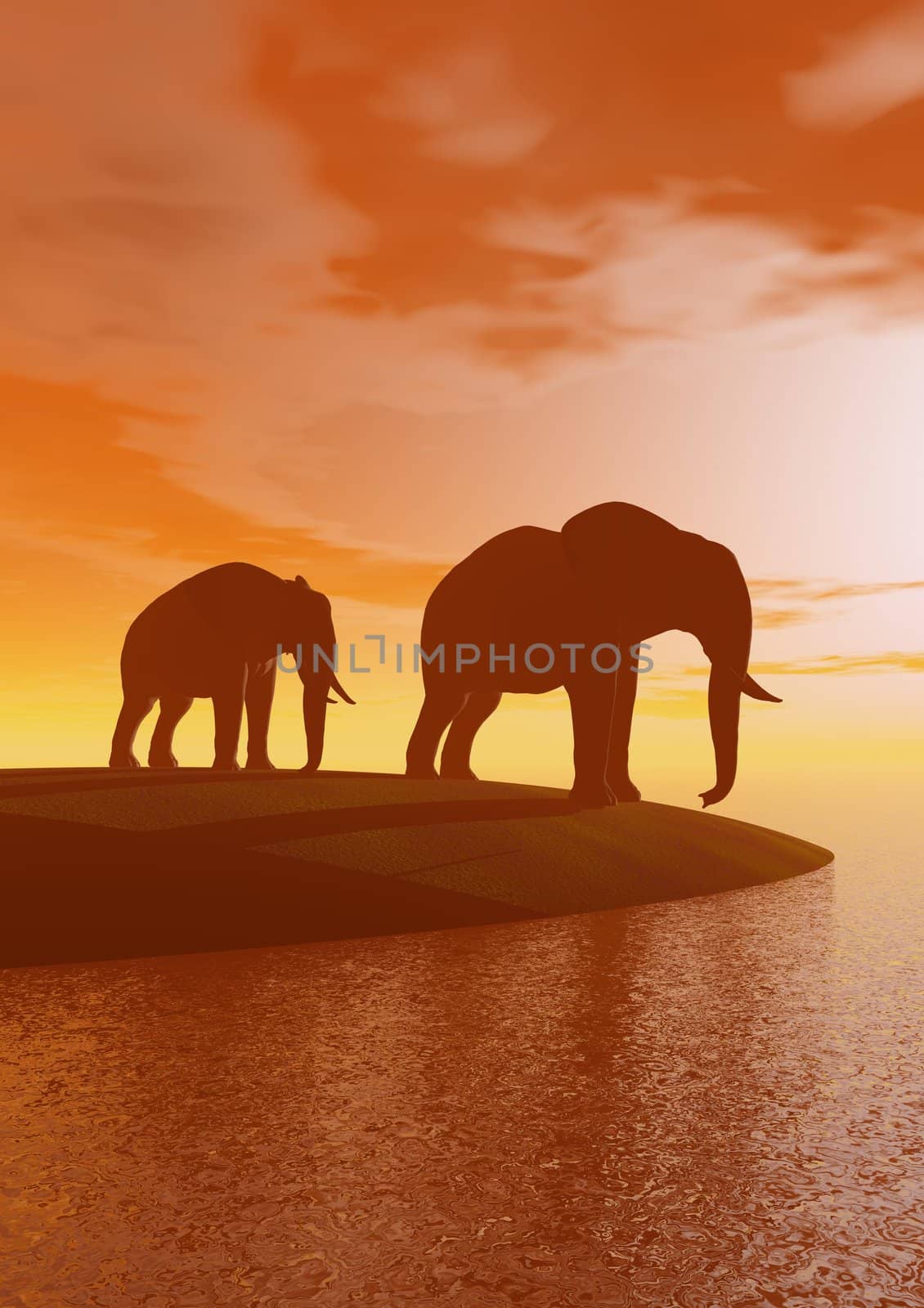 elephants and sun orange